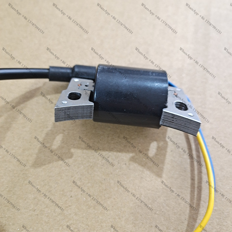 TI2000 TI2600 점화 코일 TI 2000 /  - Power Tools Toolstation 리뷰 및 가격
